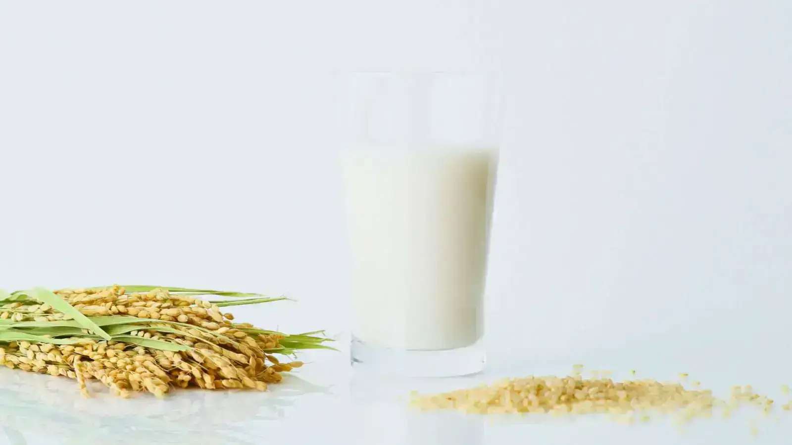 Plant-Based Dairy Revolution: Milk, Yogurt, and Cheese Alternatives