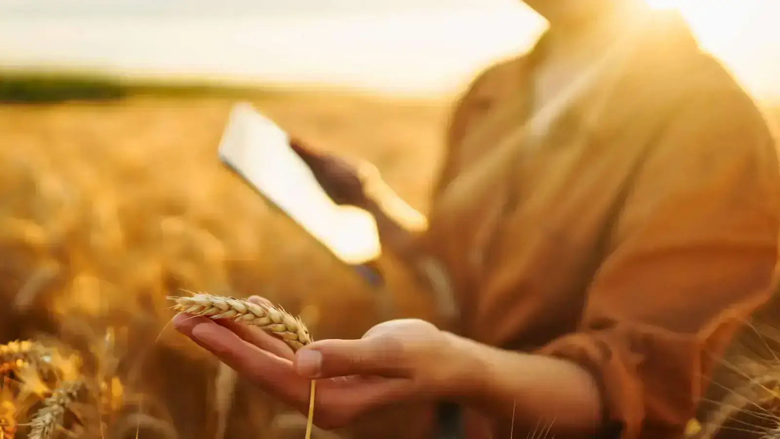 Innovating Precision Agriculture with Technology