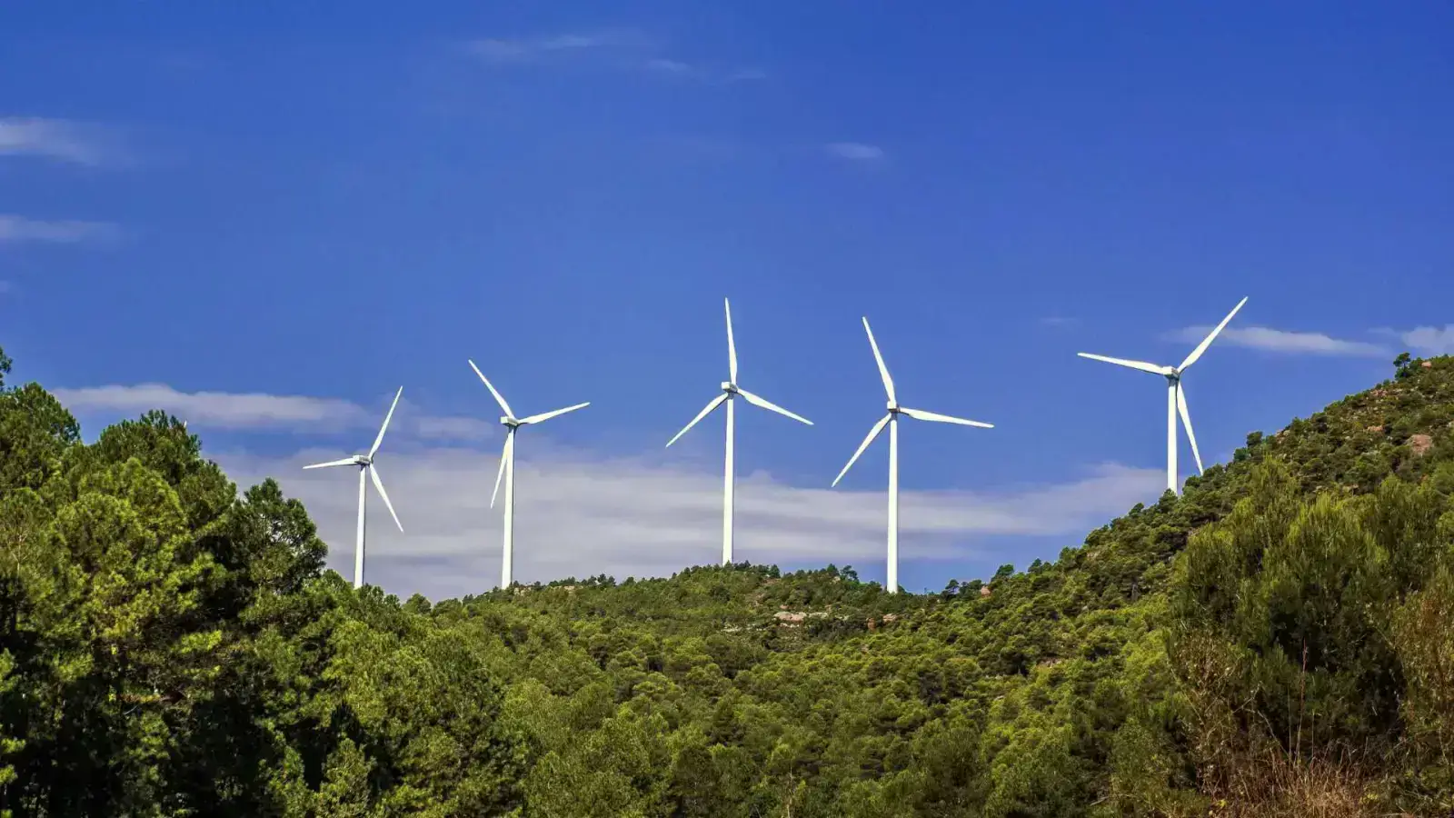 Renewable Energy on Farms: Powering a Sustainable Future