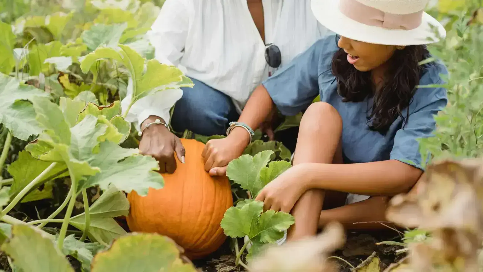 Seasonal Produce: Taste the Benefits of Nature's Freshest Harvest