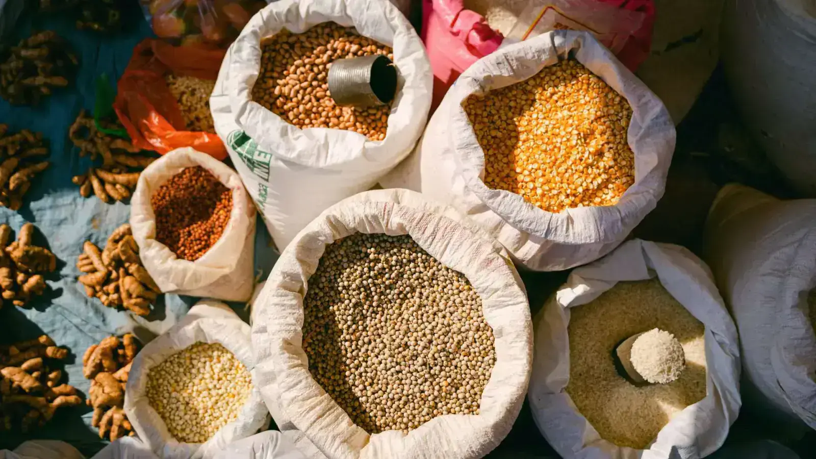 Sustainable Grains and Legumes: Building a Resilient Food Future
