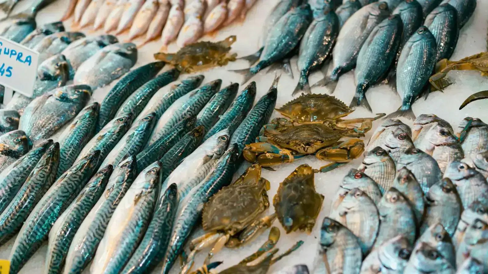 Sustainable Seafood: A Guide to Our Ocean-Friendly Future