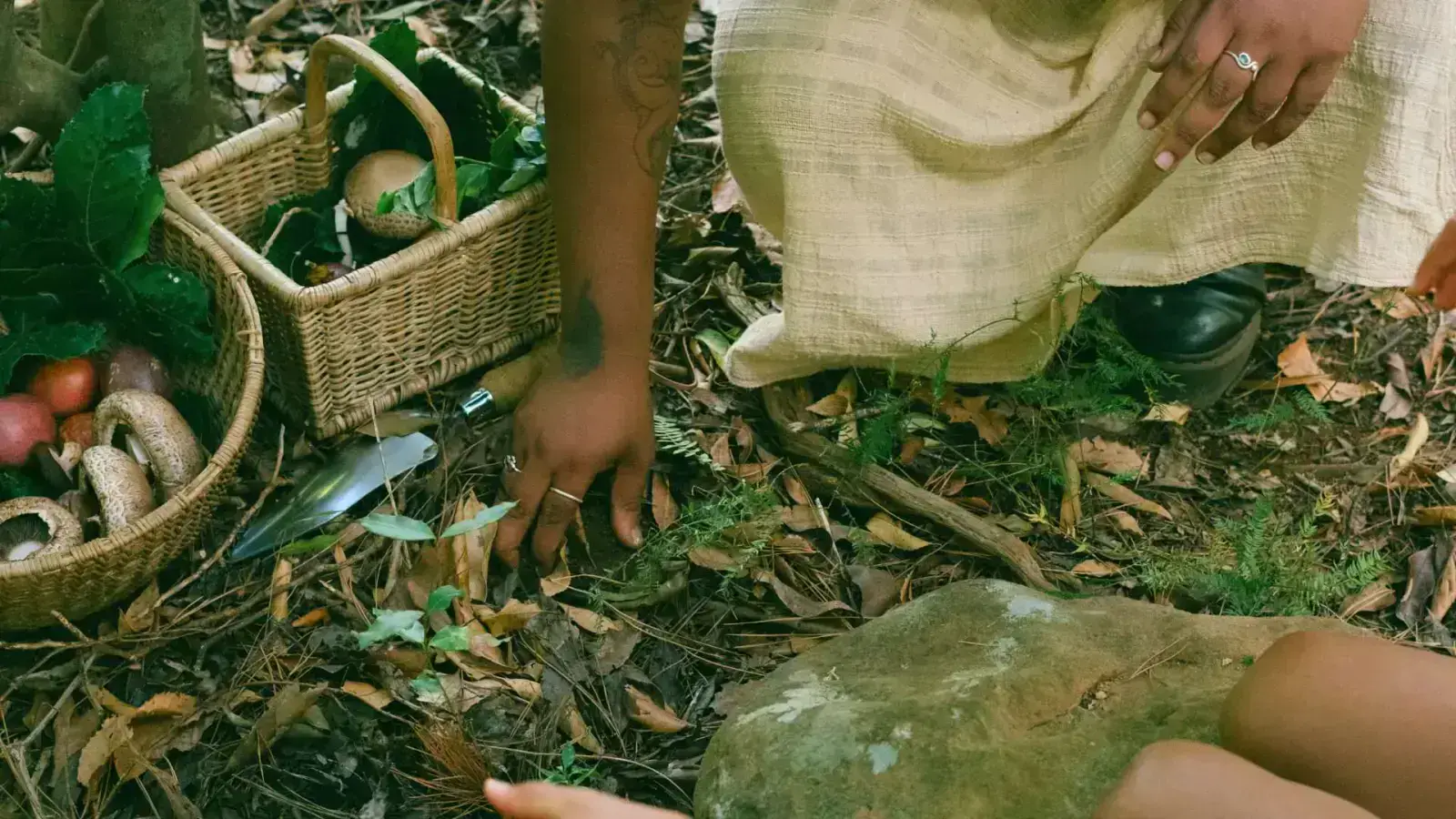 Sustainably Sourced Wood: Embrace the Future with FSC-Certified Products