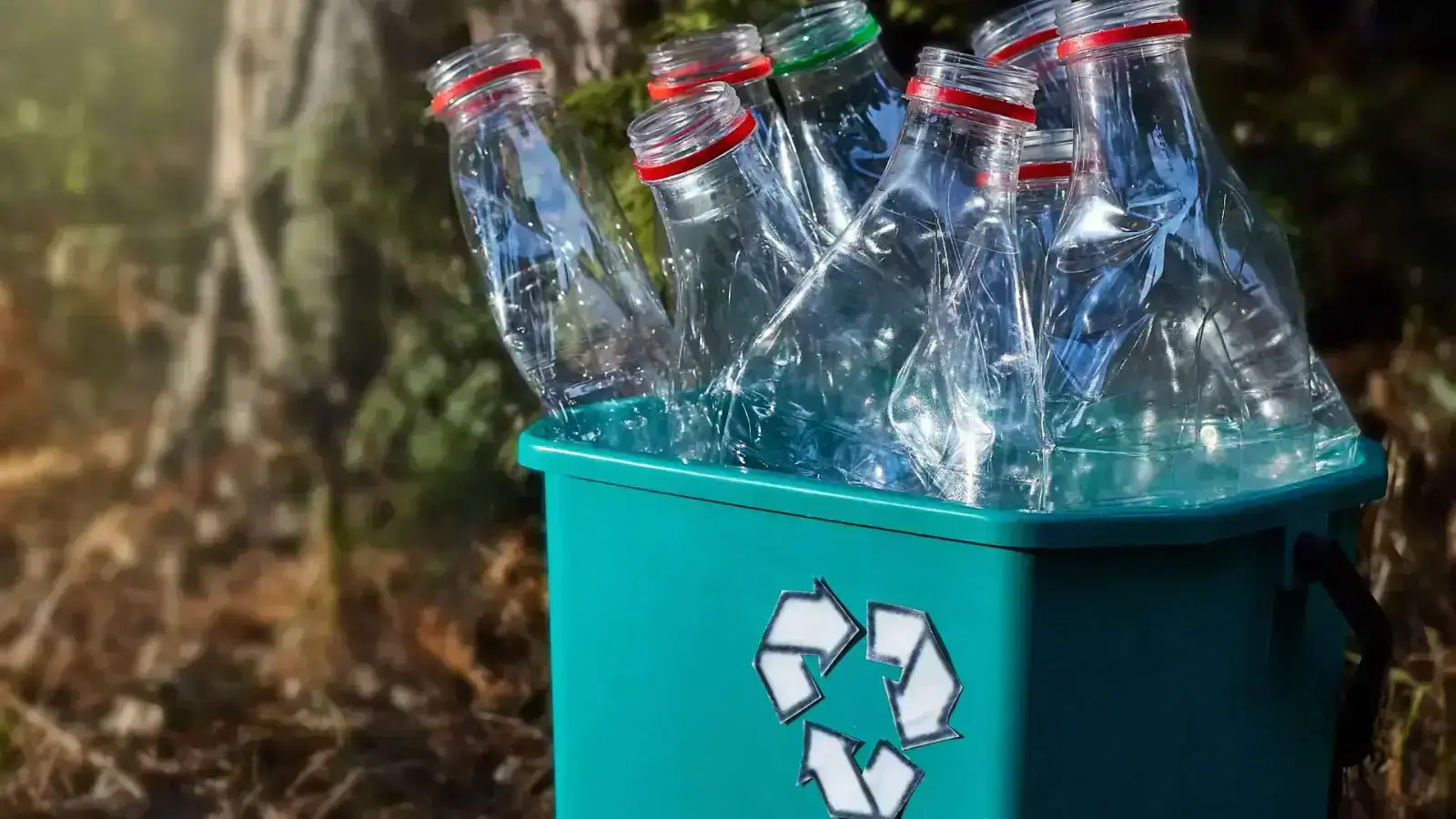 Advanced Recycling & Circularity: Future of Waste Management