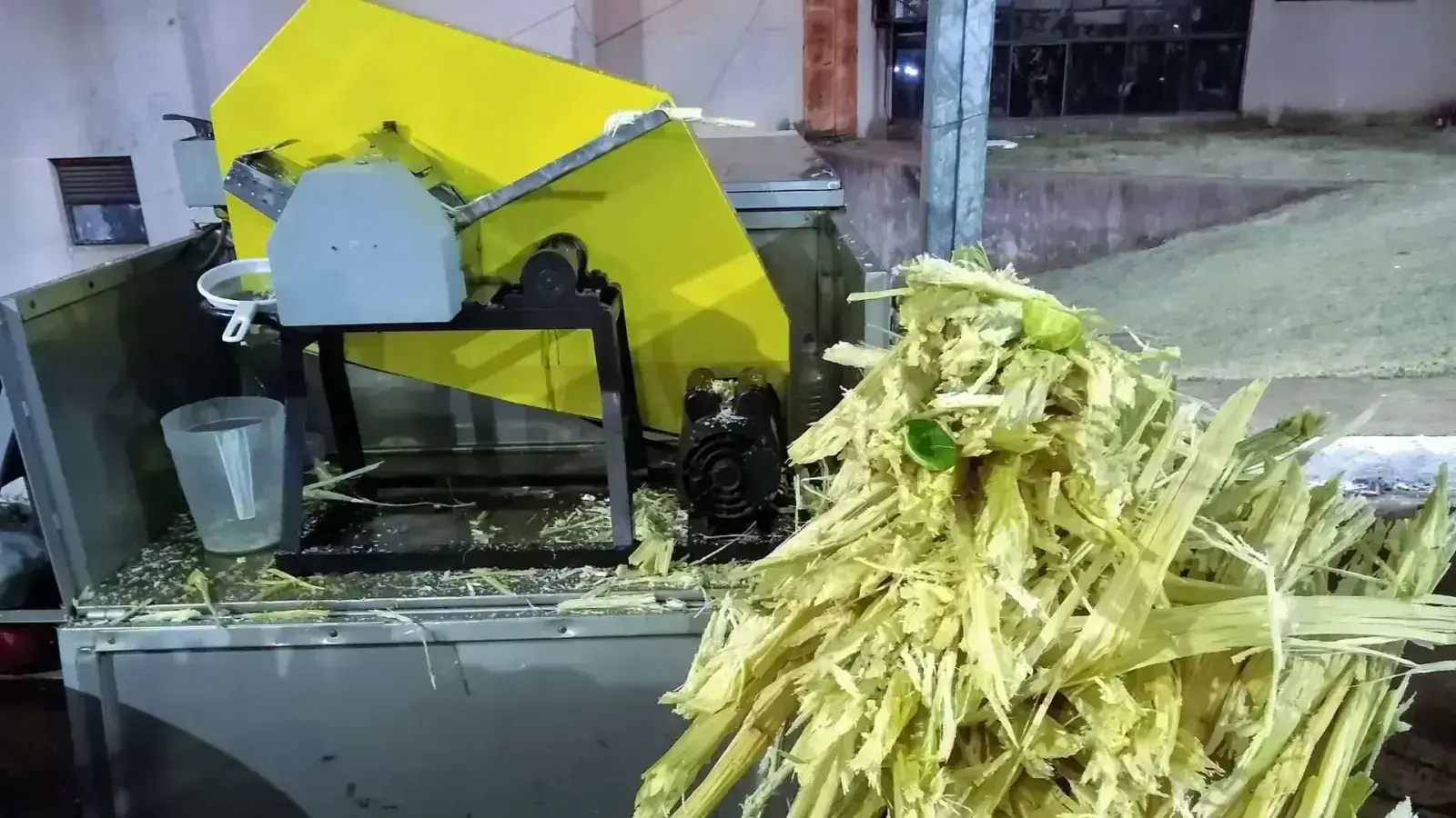 Creating Bagasse Circularity: A Sustainable Supply Chain