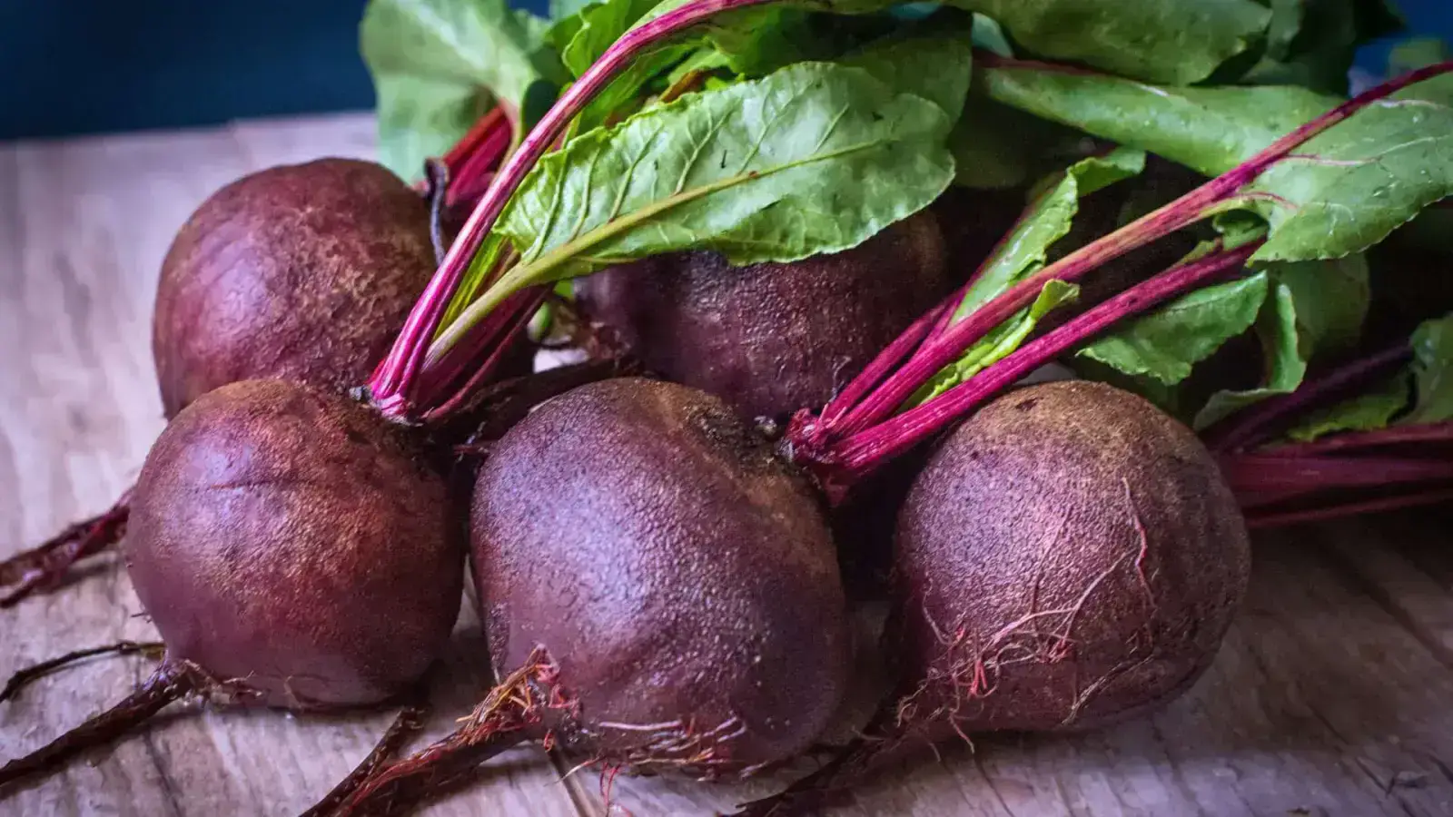 Beet Pulp Circularity Supply Chain for a Sustainable Future