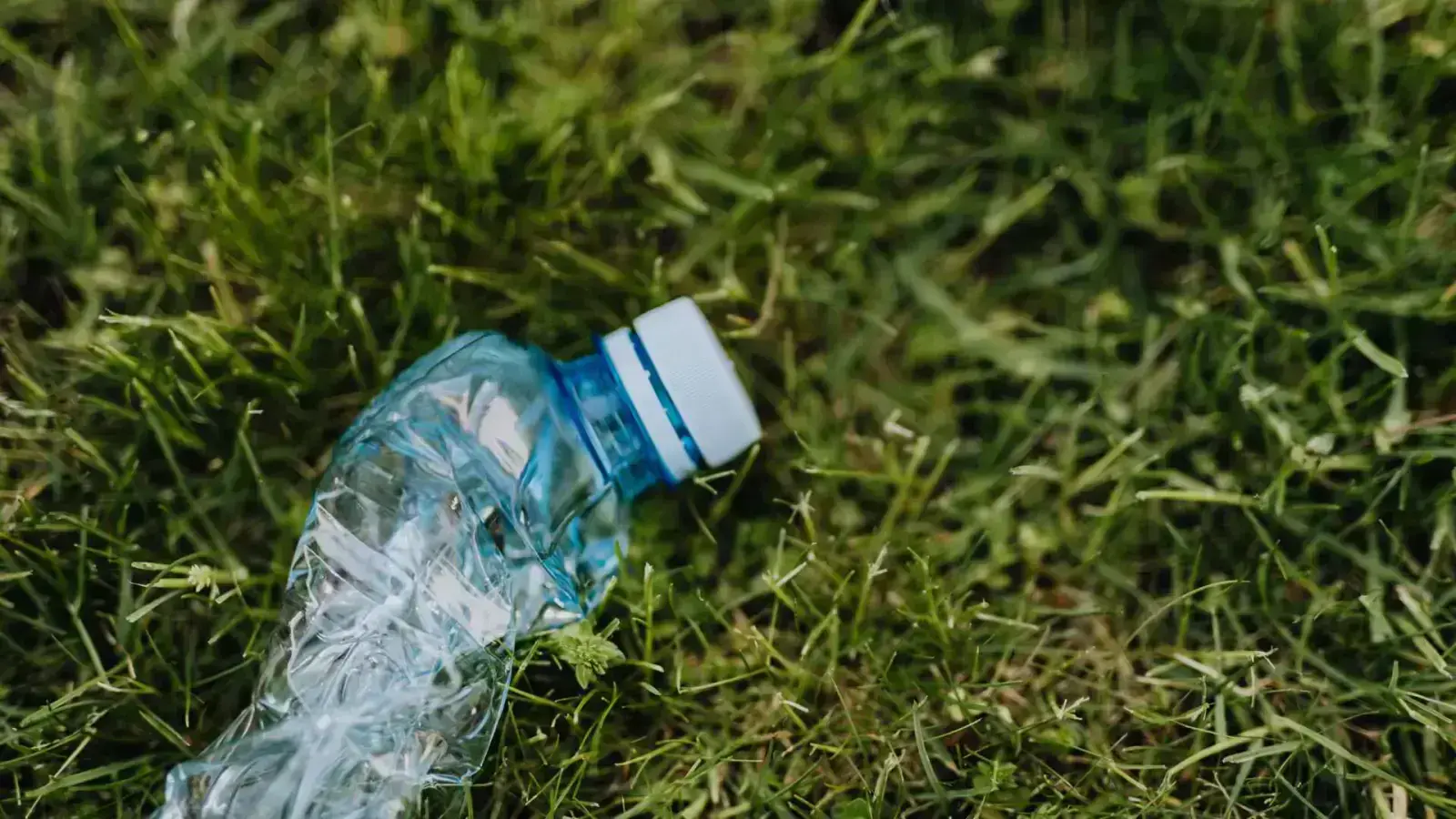 Circularity in Biodegradable Plastics from Waste Crops