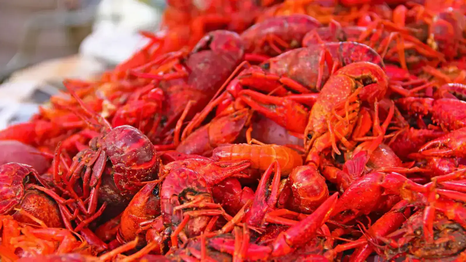 Chitin & Chitosan: Shellfish Waste into Sustainable Innovations