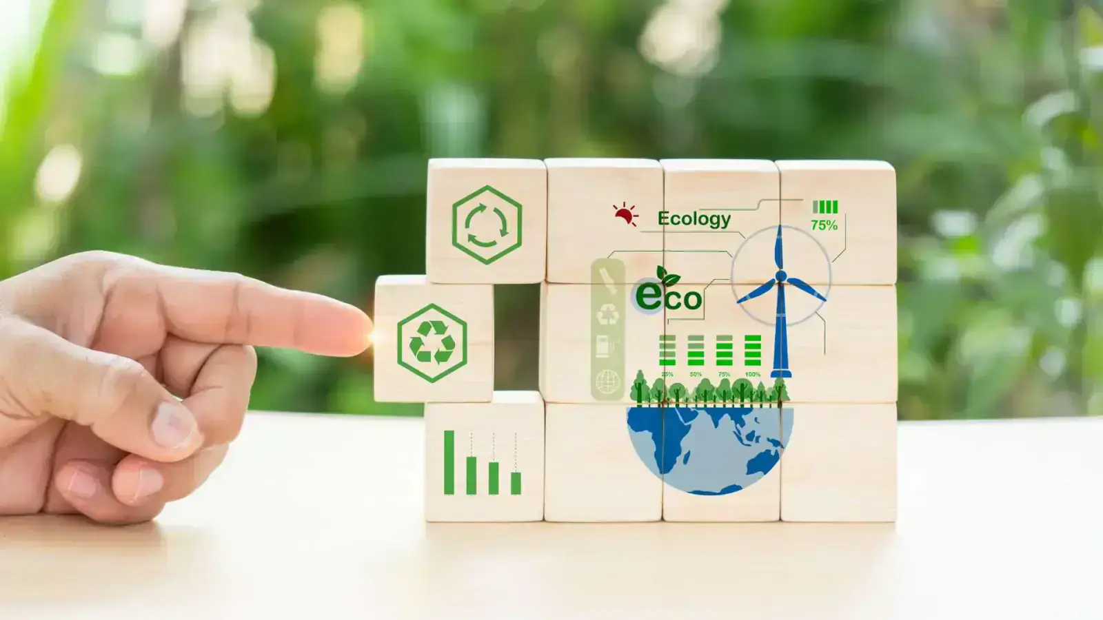 Circular Bioeconomy Networks: Efforts towards Sustainability