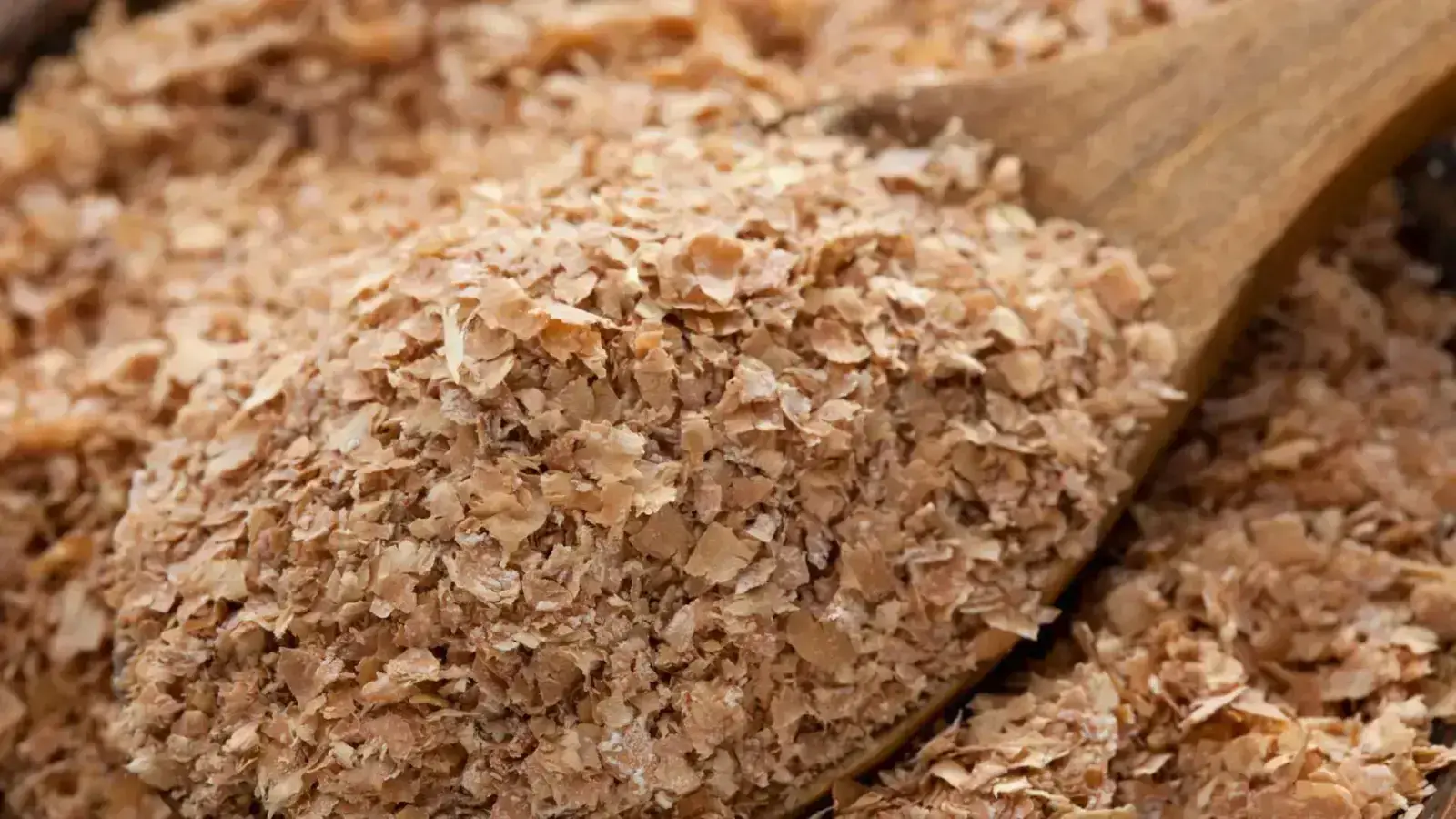 Circularity in Bran Supply Chain: Milling its Potential