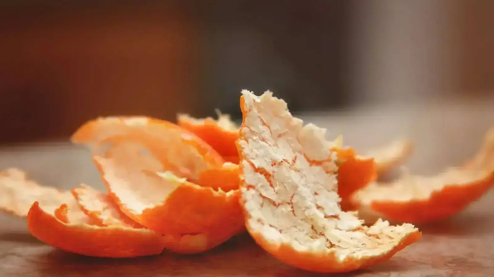 Circularity in Peels: Unlocking Wealth in Skins and Rinds Supply Chain