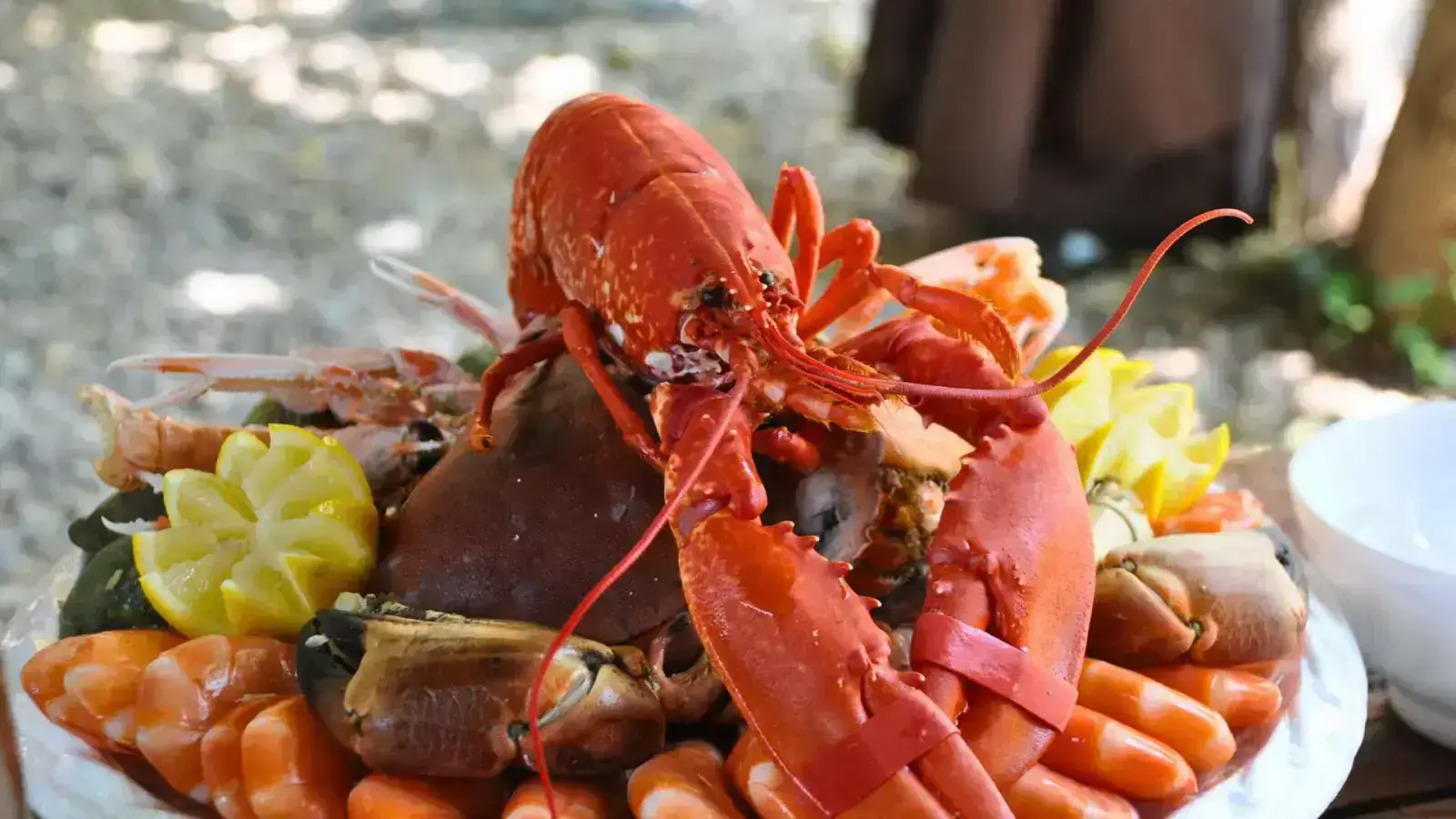 Transforming Circularity in Shellfish Shells Supply Chain