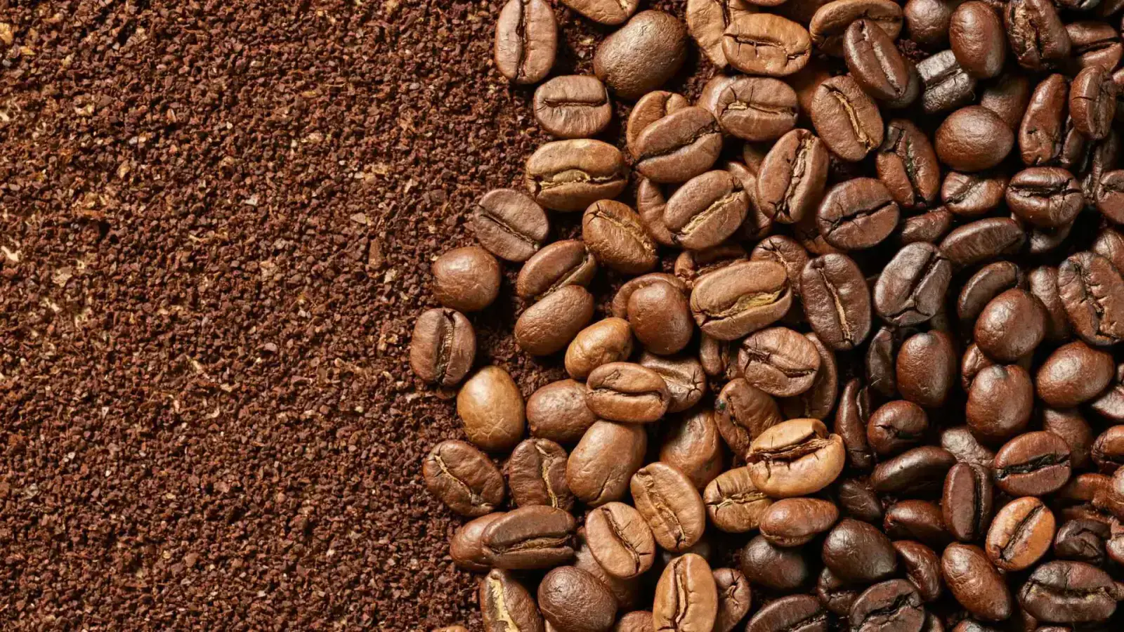 Coffee Waste: Circularity of Spent Coffee Grounds