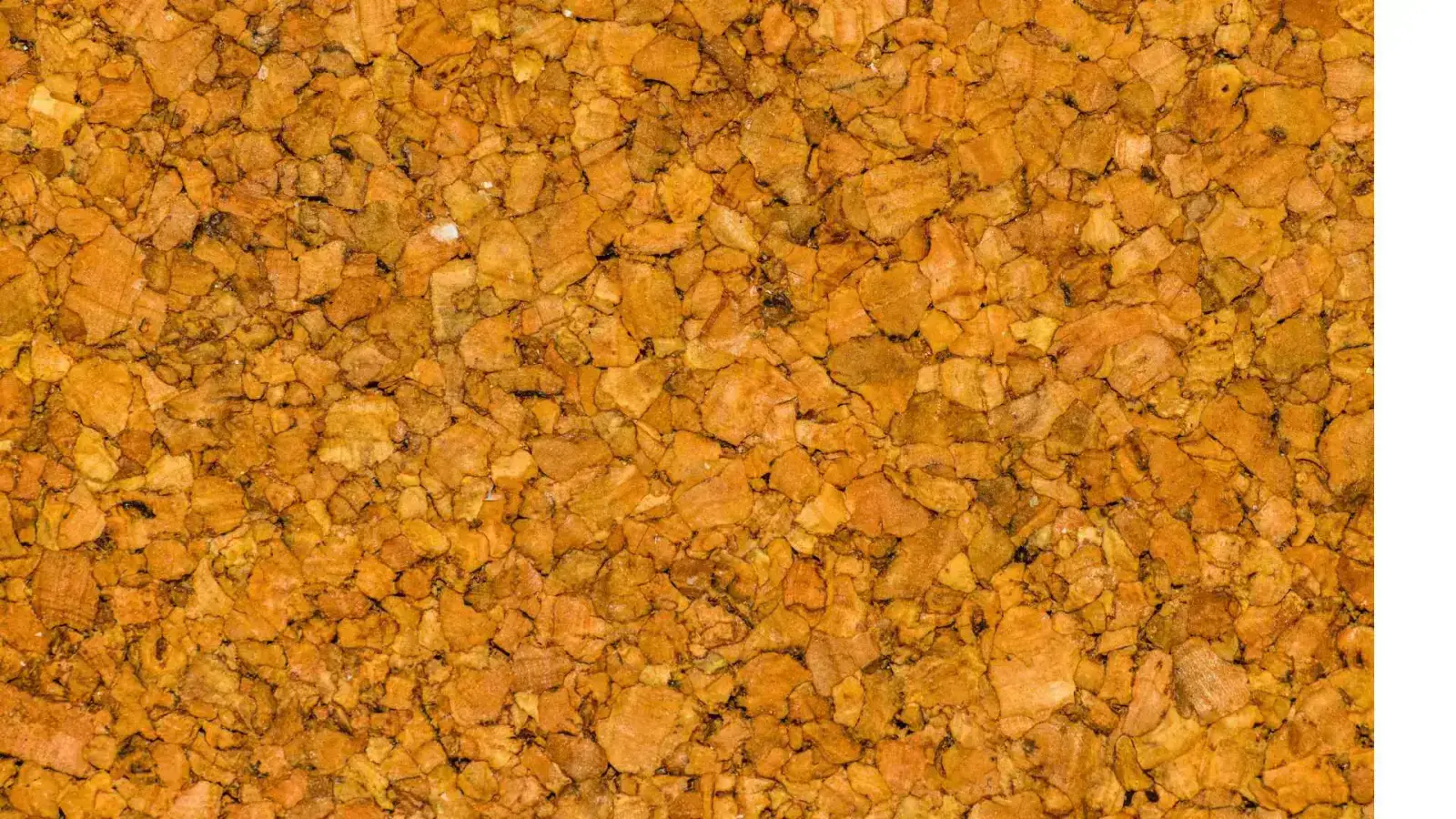 Cork: Eco-Friendly Home Solutions