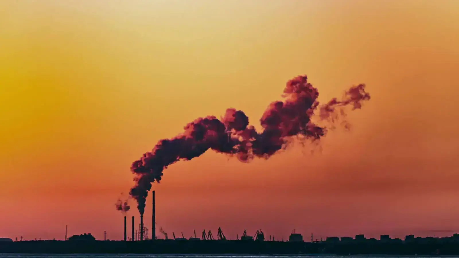 Direct Air Capture: Turning CO₂ into Sustainable Value