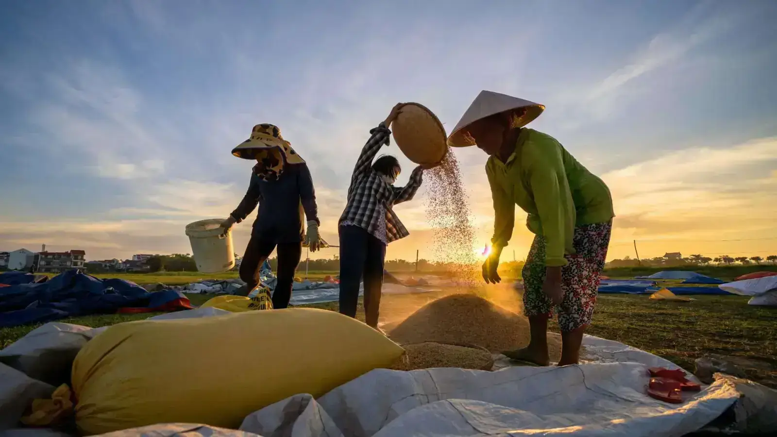 Empowering Farmers and Rural Communities