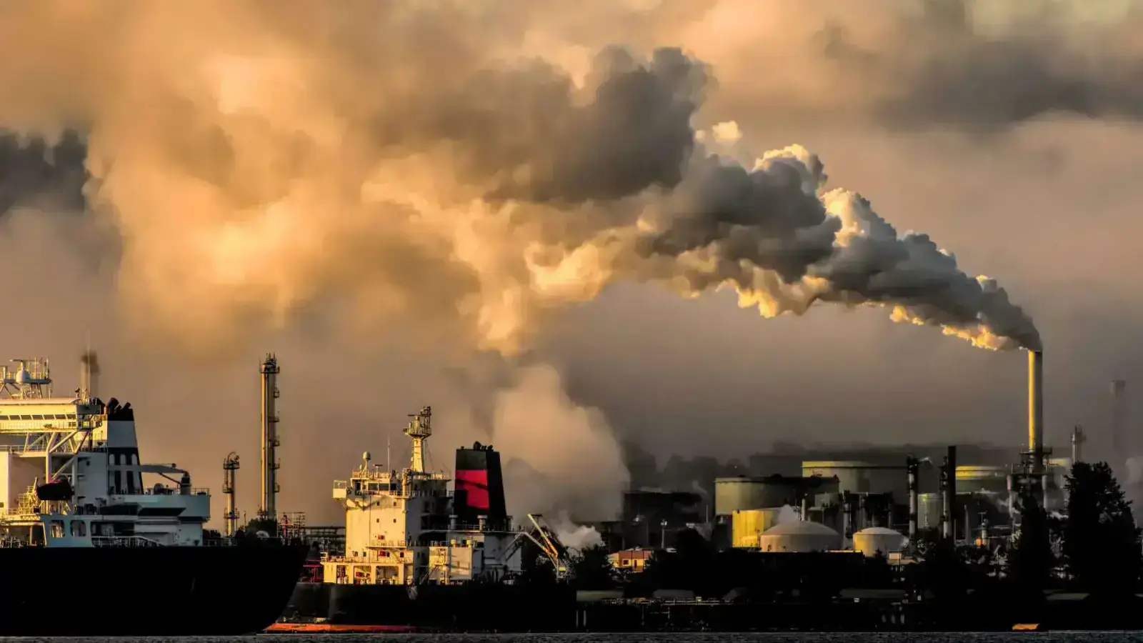 Gasification: Turning Waste Into Clean Energy for a Greener Future