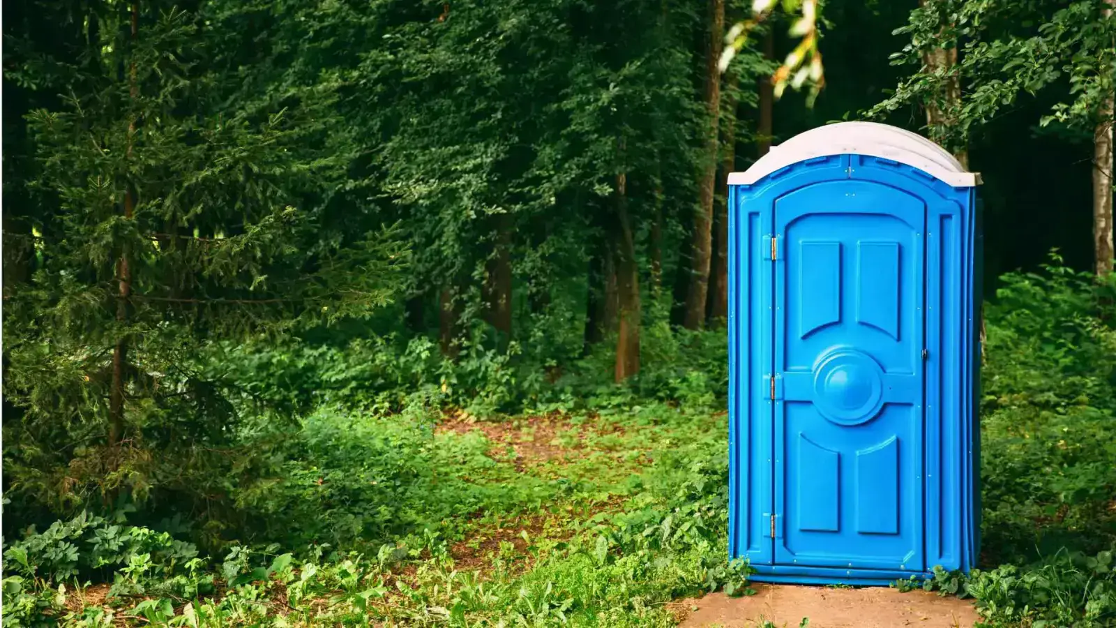 Low-Flow Toilets: The Future of Water-Saving Solutions