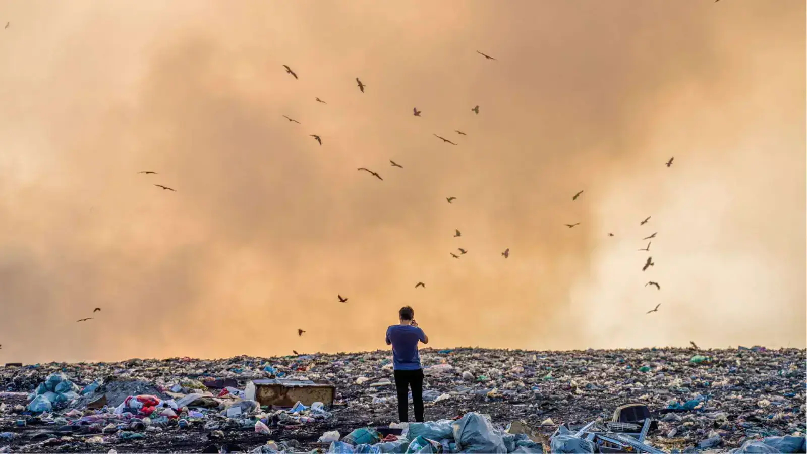 Modern Landfill Design: Minimizing Environmental Impact with Innovation