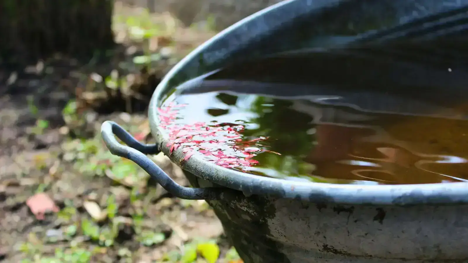Rainwater Harvesting Systems: Embrace Sustainability and Save Water Today!