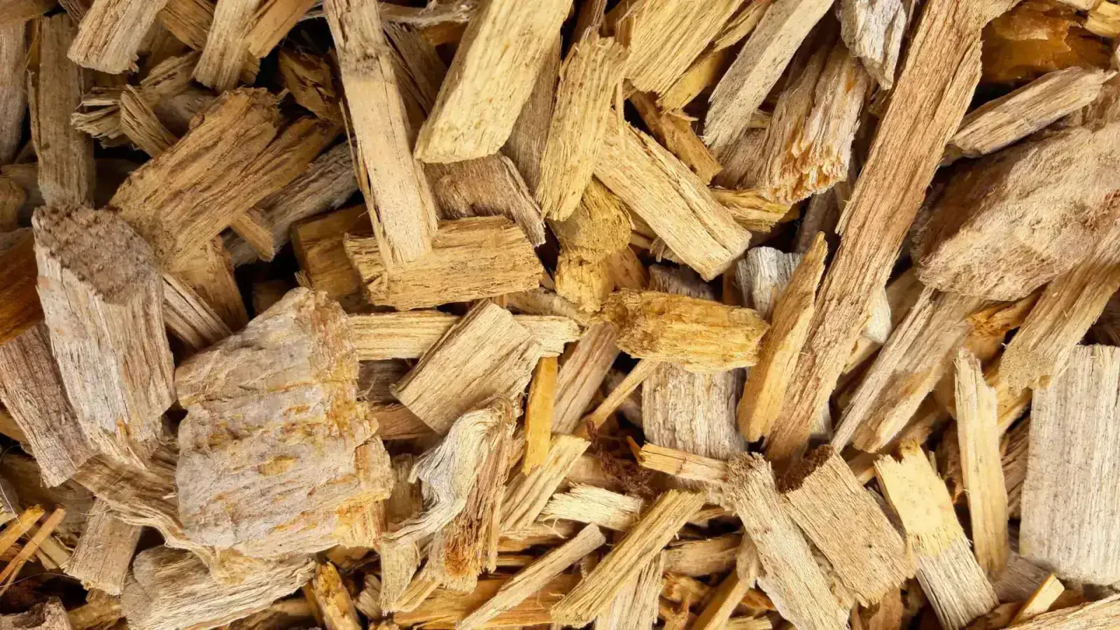 Woodchips & Sawdust: Circular Economy Hiding in Plain Sight