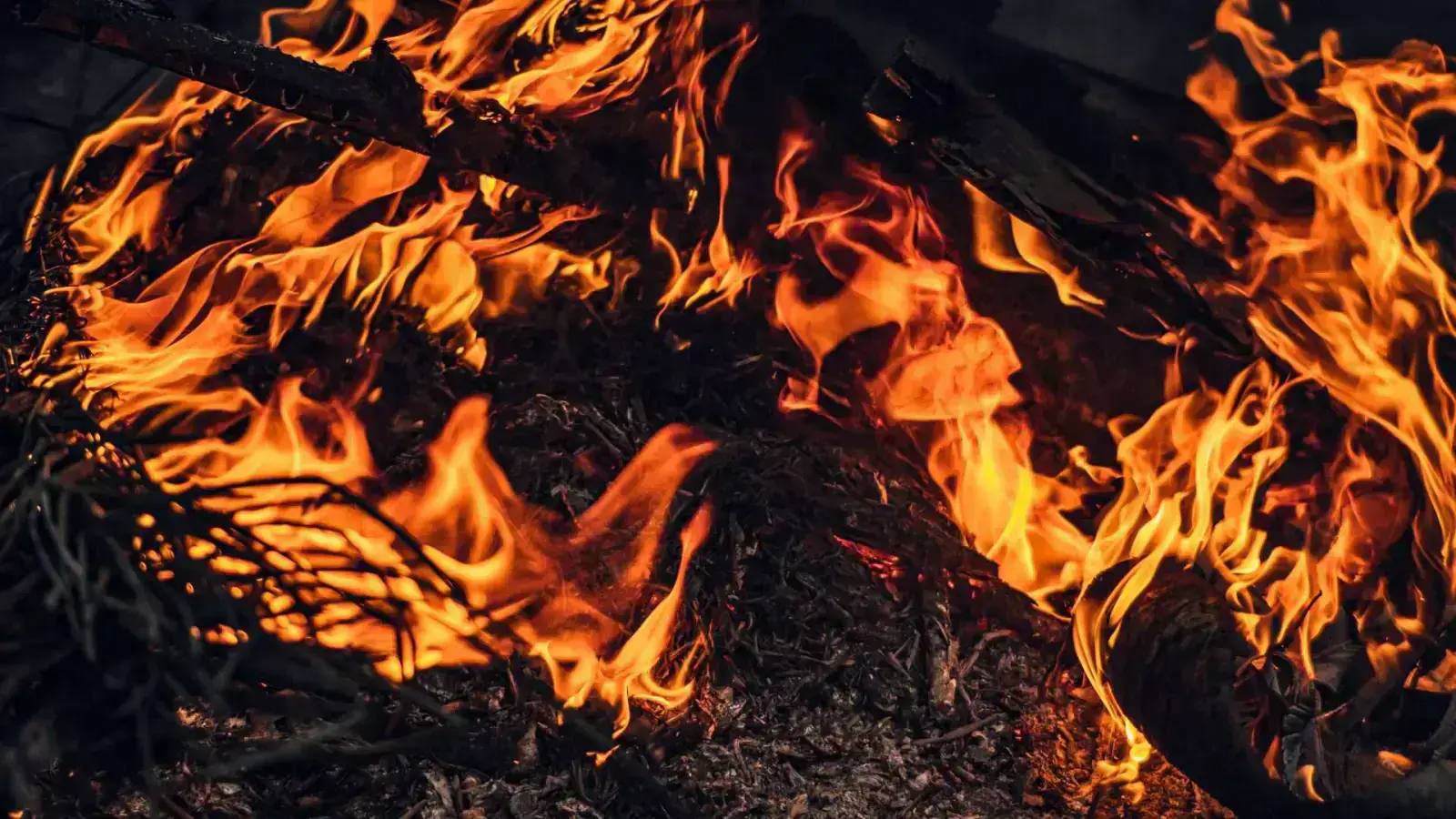 Unlocking Pyrolysis: Waste Into Bio-Oil, Biochar & Syngas