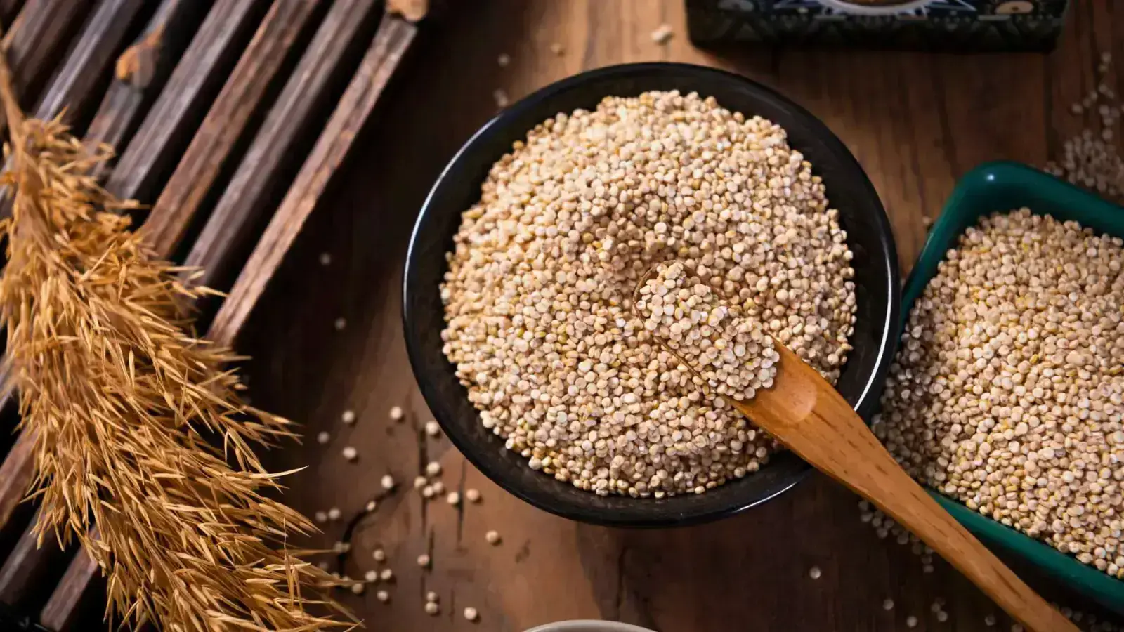 Unlocking the Potential of Spent Grains: Sustainable Solutions