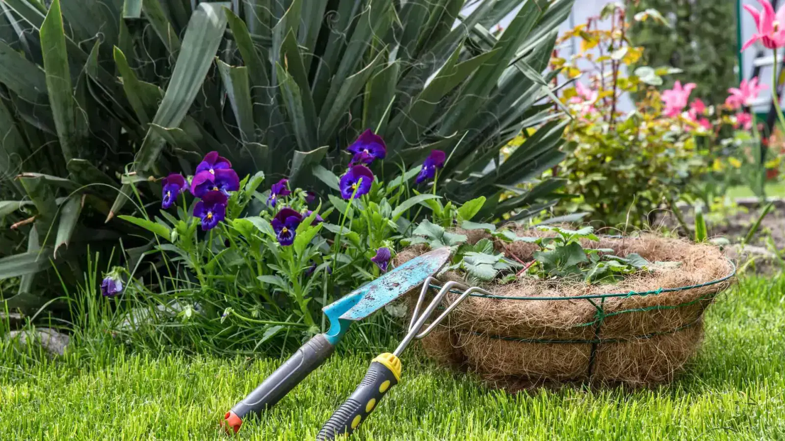 Xeriscaping: Transform Your Garden with Water-Saving Plants