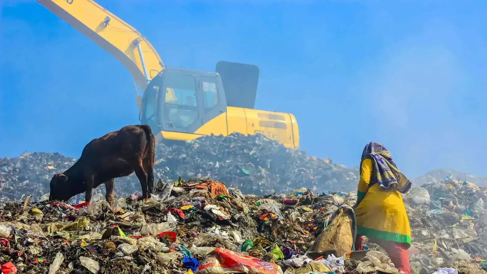 Creating Circularity in Biopolymer Degradation for a Greener Future