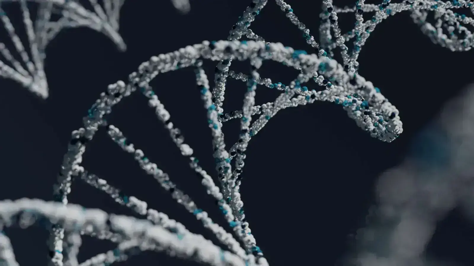 Creating Circularity in Self-Assembling Molecules: A New Material Era