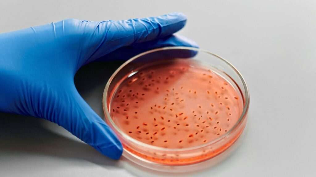Sustainable Antimicrobial Agents: Revolutionizing How We Fight Bugs