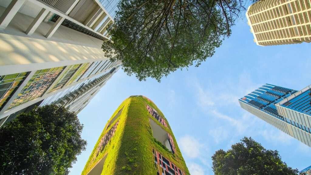 Skyscrapers and trees in urban cityscape view