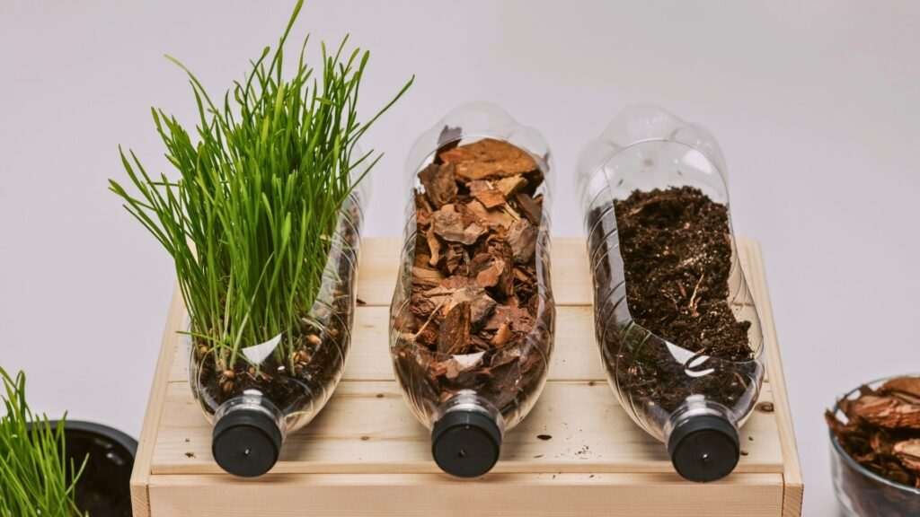 Recycled plastic bottle planters with soil and plants